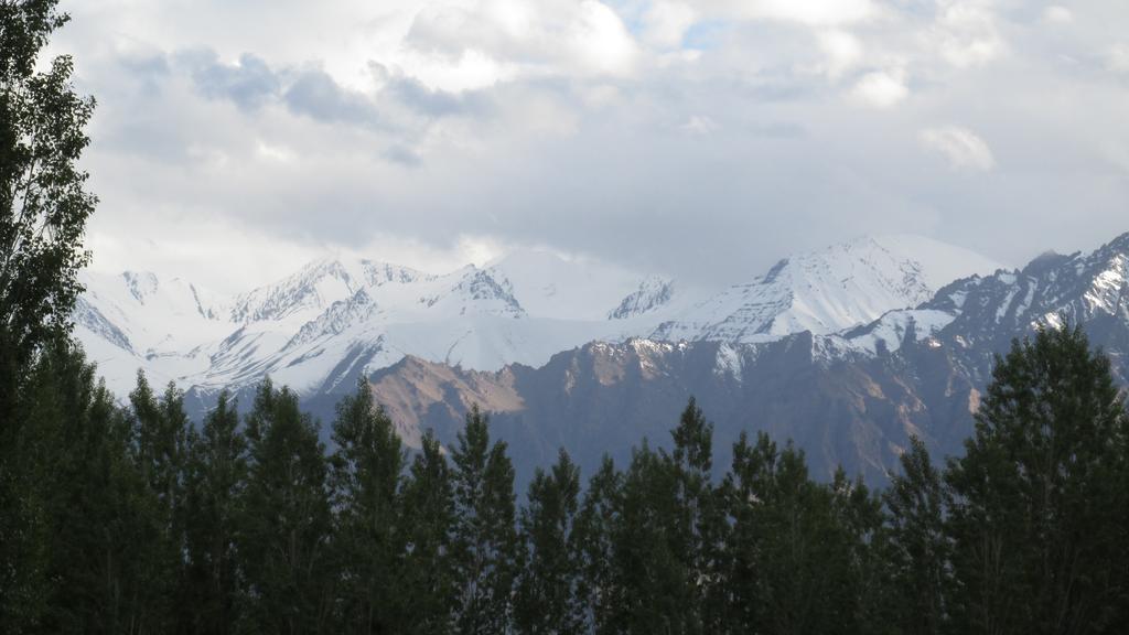 Streamlet Homestay レー エクステリア 写真